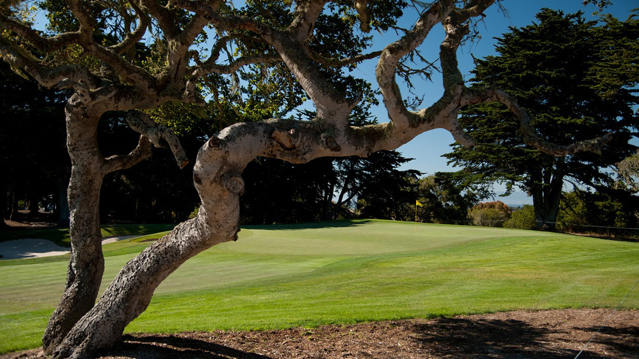 PGA Professional Championship returns to Bayonet Black Horse Courses in 2018