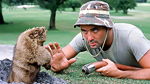 Bill Murray and family to open 'Caddyshack' restaurant near Chicago