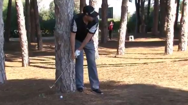 Padraig Harrington makes one of the greatest par saves you'll ever see