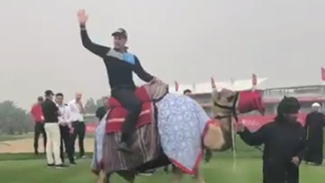 WATCH: Henrik Stenson rides a camel ahead of Abu Dhabi HSBC Championship