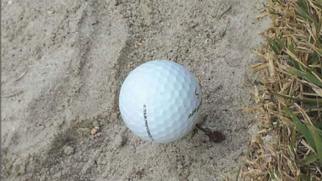 Impaled ball, bunker fire ants lead to bizarre rules situation
