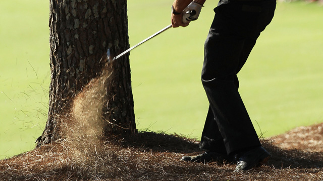 A Lesson Learned: Mickelson's mastery of the pinestraw nets him third green jacket