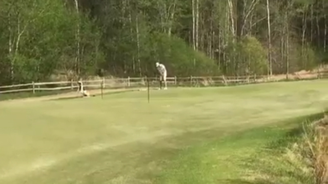 Is this the coolest -- and longest -- putt ever made?
