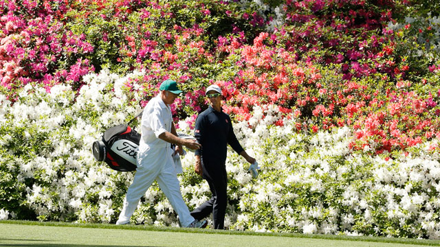 Dogwoods and azaleas at Augusta National clear sign spring is near